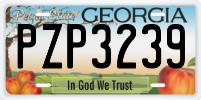 GA license plate PZP3239