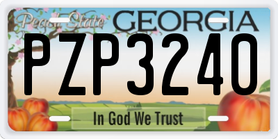 GA license plate PZP3240