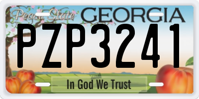 GA license plate PZP3241