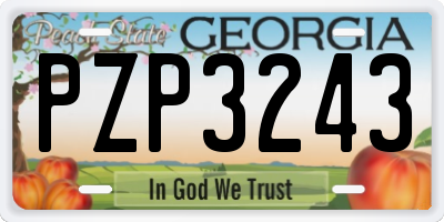 GA license plate PZP3243