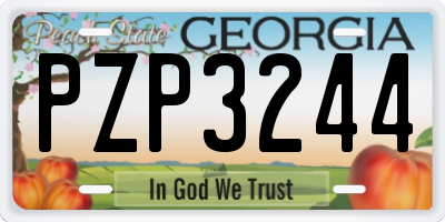 GA license plate PZP3244