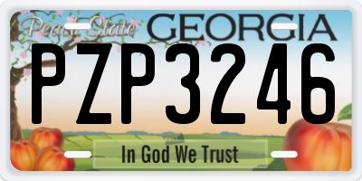 GA license plate PZP3246