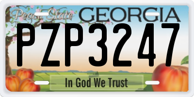 GA license plate PZP3247