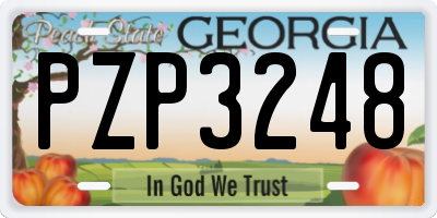 GA license plate PZP3248