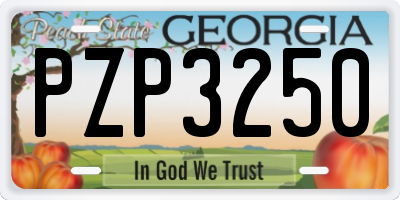 GA license plate PZP3250