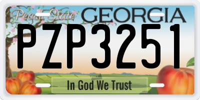GA license plate PZP3251