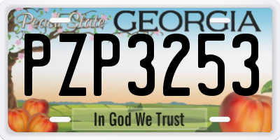 GA license plate PZP3253