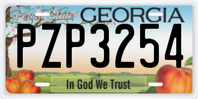 GA license plate PZP3254