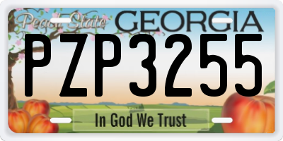 GA license plate PZP3255