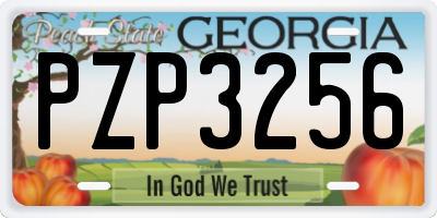 GA license plate PZP3256