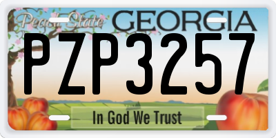 GA license plate PZP3257