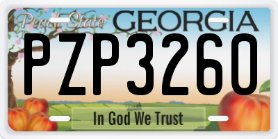 GA license plate PZP3260