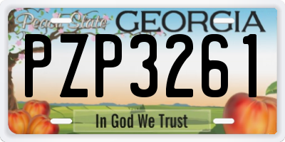 GA license plate PZP3261