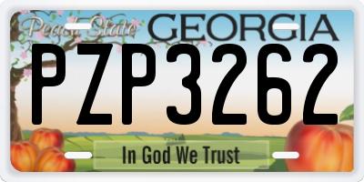 GA license plate PZP3262