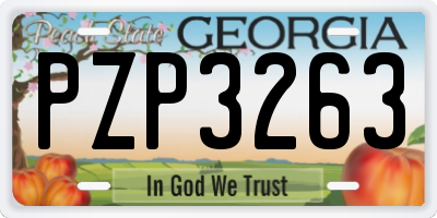GA license plate PZP3263