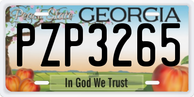 GA license plate PZP3265
