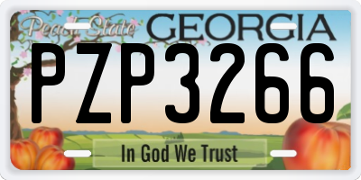 GA license plate PZP3266