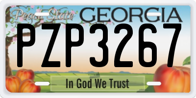 GA license plate PZP3267