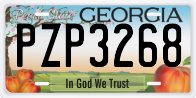 GA license plate PZP3268