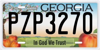 GA license plate PZP3270