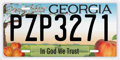 GA license plate PZP3271
