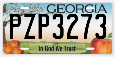 GA license plate PZP3273