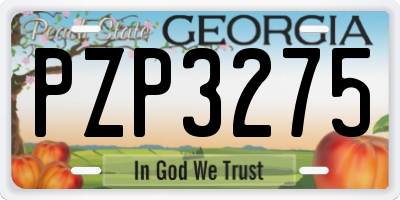 GA license plate PZP3275