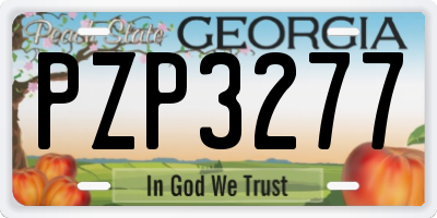 GA license plate PZP3277