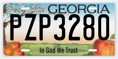 GA license plate PZP3280