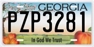 GA license plate PZP3281