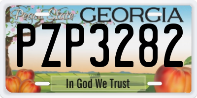 GA license plate PZP3282