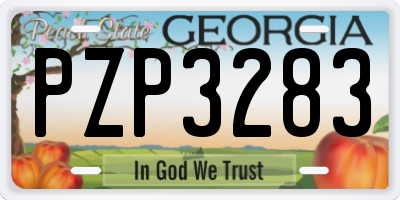 GA license plate PZP3283