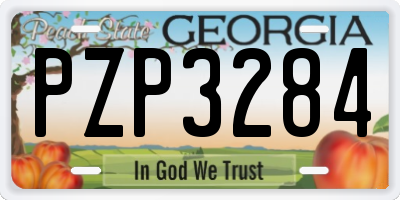 GA license plate PZP3284