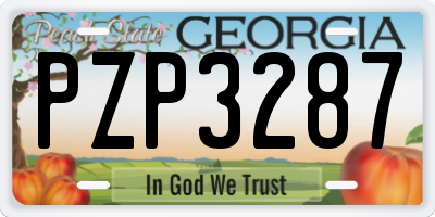 GA license plate PZP3287