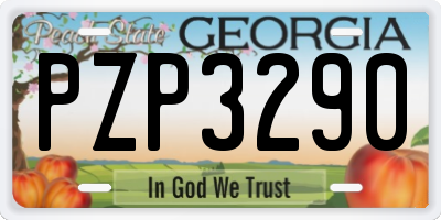 GA license plate PZP3290