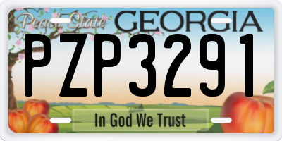 GA license plate PZP3291