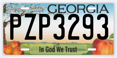 GA license plate PZP3293