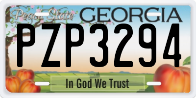 GA license plate PZP3294