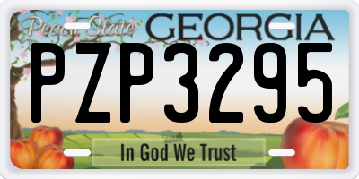 GA license plate PZP3295