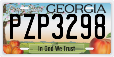 GA license plate PZP3298