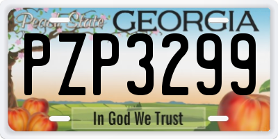 GA license plate PZP3299