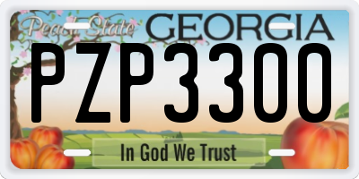 GA license plate PZP3300