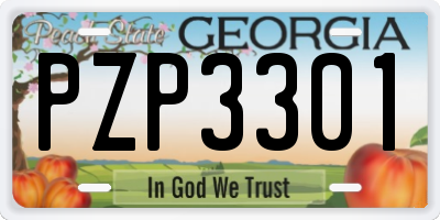 GA license plate PZP3301