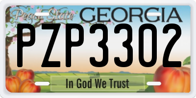 GA license plate PZP3302