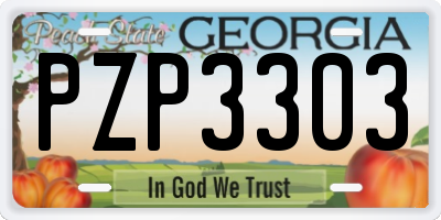GA license plate PZP3303