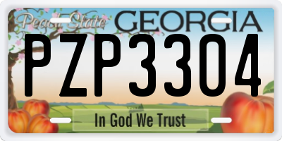 GA license plate PZP3304