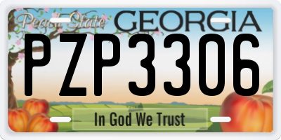 GA license plate PZP3306