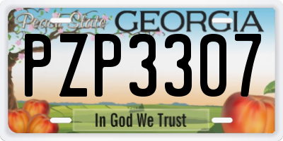 GA license plate PZP3307