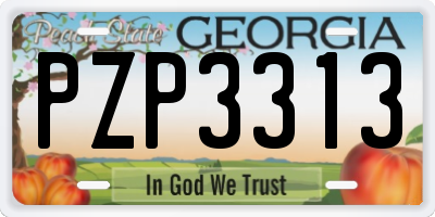 GA license plate PZP3313