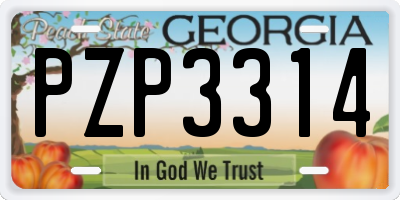 GA license plate PZP3314